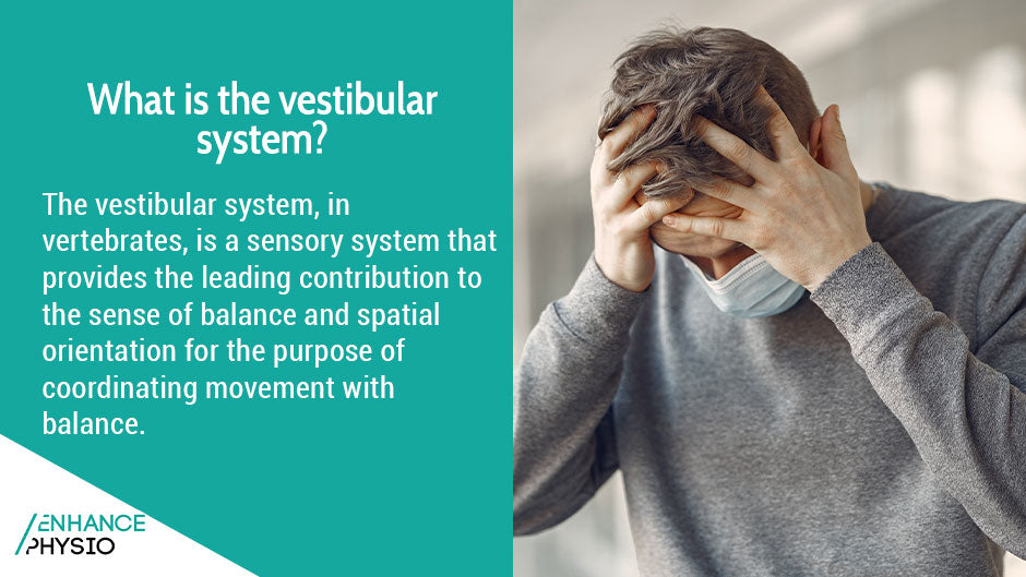 Vestibular Rehabilitation