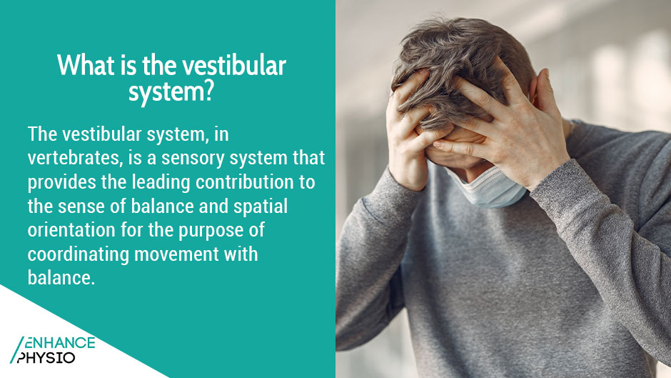 Vestibular Rehabilitation Therapy